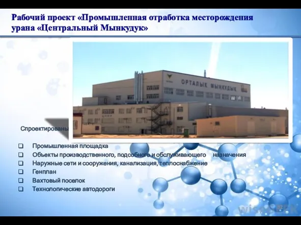 Рабочий проект «Промышленная отработка месторождения урана «Центральный Мынкудук» Спроектированы: Промышленная площадка
