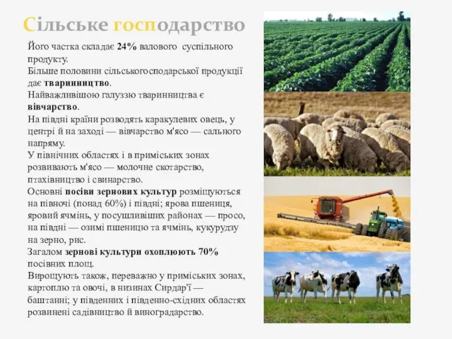 Сільське господарство Його частка складає 24% валового суспільного продукту. Більше половини