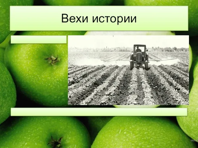 Вехи истории