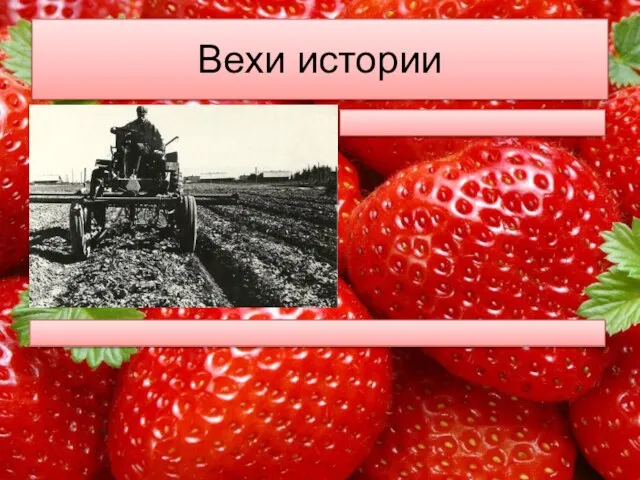 Вехи истории