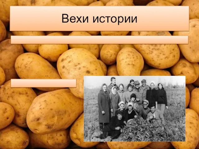 Вехи истории