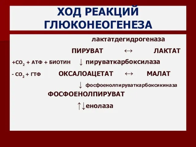 ХОД РЕАКЦИЙ ГЛЮКОНЕОГЕНЕЗА лактатдегидрогеназа ПИРУВАТ ↔ ЛАКТАТ +СО2 + АТФ +