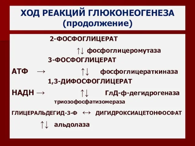 ХОД РЕАКЦИЙ ГЛЮКОНЕОГЕНЕЗА (продолжение) 2-ФОСФОГЛИЦЕРАТ ↑↓ фосфоглицеромутаза 3-ФОСФОГЛИЦЕРАТ АТФ → ↑↓