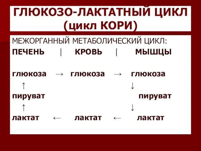 ГЛЮКОЗО-ЛАКТАТНЫЙ ЦИКЛ (цикл КОРИ) МЕЖОРГАННЫЙ МЕТАБОЛИЧЕСКИЙ ЦИКЛ: ПЕЧЕНЬ ⎮ КРОВЬ ⎮