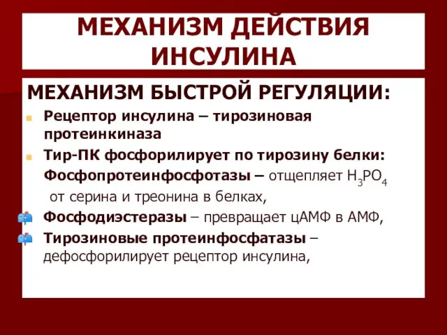 МЕХАНИЗМ ДЕЙСТВИЯ ИНСУЛИНА МЕХАНИЗМ БЫСТРОЙ РЕГУЛЯЦИИ: Рецептор инсулина – тирозиновая протеинкиназа