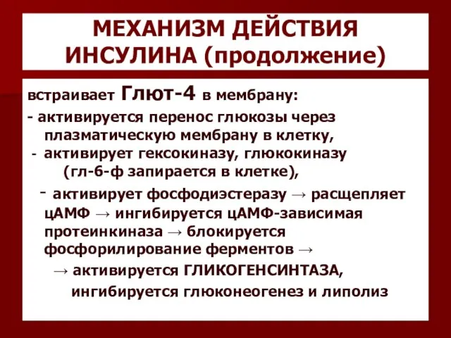 МЕХАНИЗМ ДЕЙСТВИЯ ИНСУЛИНА (продолжение) встраивает Глют-4 в мембрану: - активируется перенос