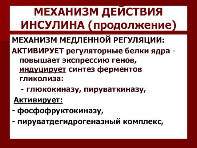 МЕХАНИЗМ ДЕЙСТВИЯ ИНСУЛИНА (продолжение) МЕХАНИЗМ МЕДЛЕННОЙ РЕГУЛЯЦИИ: АКТИВИРУЕТ регуляторные белки ядра