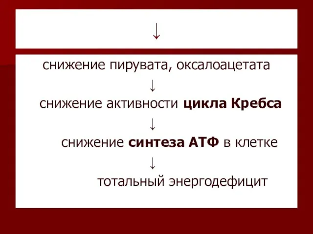 ↓ снижение пирувата, оксалоацетата ↓ снижение активности цикла Кребса ↓ снижение