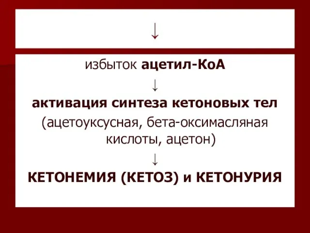 ↓ избыток ацетил-КоА ↓ активация синтеза кетоновых тел (ацетоуксусная, бета-оксимасляная кислоты,