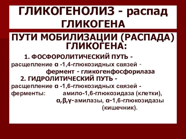 ГЛИКОГЕНОЛИЗ - распад ГЛИКОГЕНА ПУТИ МОБИЛИЗАЦИИ (РАСПАДА) ГЛИКОГЕНА: 1. ФОСФОРОЛИТИЧЕСКИЙ ПУТЬ