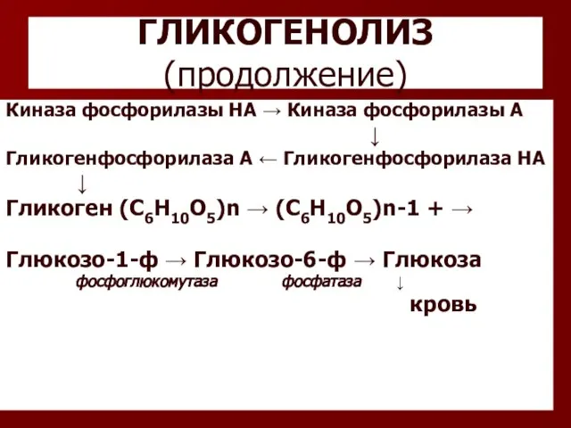 ГЛИКОГЕНОЛИЗ (продолжение) Киназа фосфорилазы НА → Киназа фосфорилазы А ↓ Гликогенфосфорилаза