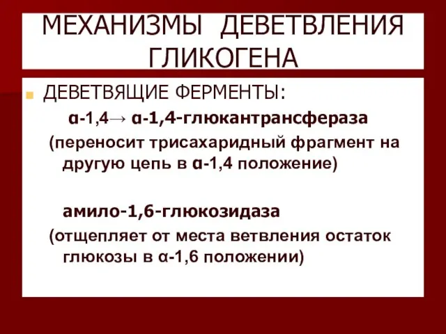 МЕХАНИЗМЫ ДЕВЕТВЛЕНИЯ ГЛИКОГЕНА ДЕВЕТВЯЩИЕ ФЕРМЕНТЫ: α-1,4→ α-1,4-глюкантрансфераза (переносит трисахаридный фрагмент на