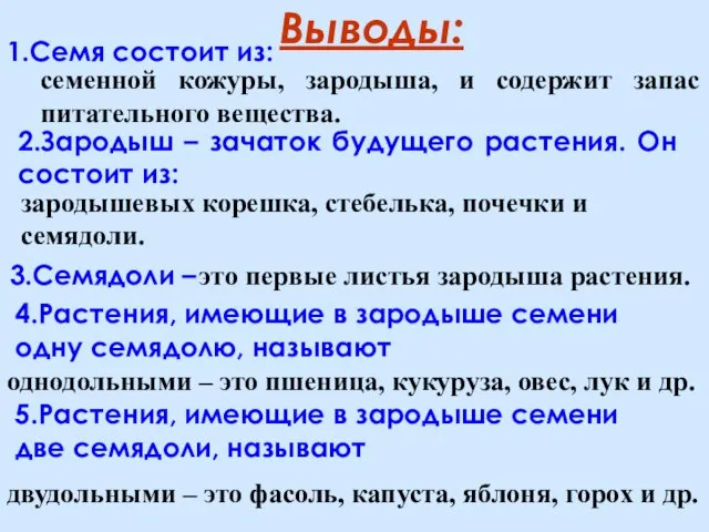 Выводы: 1.Семя состоит из: 2.Зародыш – зачаток будущего растения. Он состоит