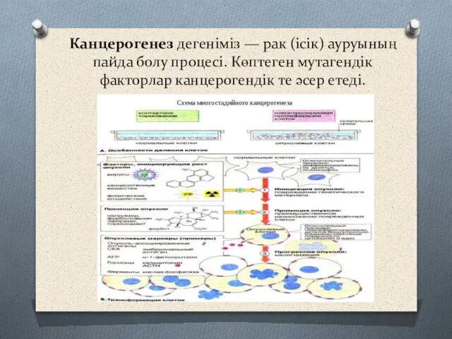 Канцерогенез дегеніміз — рак (ісік) ауруының пайда болу процесі. Көптеген мутагендік факторлар канцерогендік те әсер етеді.