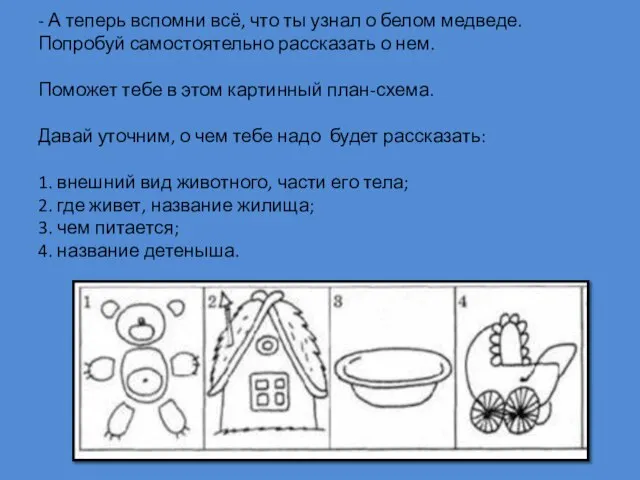 - А теперь вспомни всё, что ты узнал о белом медведе.