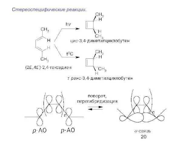 Стереоспецифические реакции.