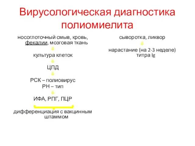 Вирусологическая диагностика полиомиелита носоглоточный смыв, кровь, фекалии, мозговая ткань ⇓ культура