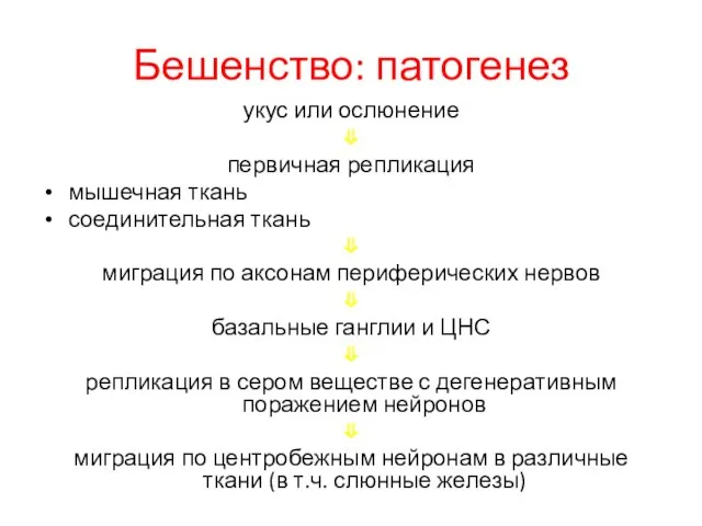 Бешенство: патогенез укус или ослюнение ⇓ первичная репликация мышечная ткань соединительная