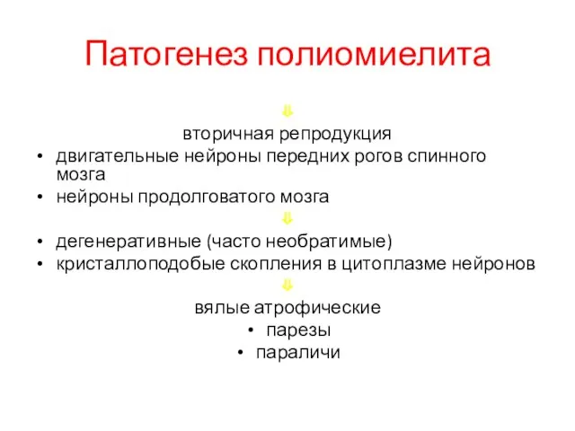 Патогенез полиомиелита ⇓ вторичная репродукция двигательные нейроны передних рогов спинного мозга