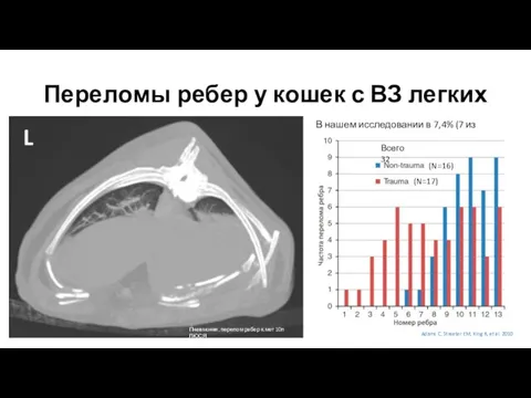 Переломы ребер у кошек с ВЗ легких В нашем исследовании в