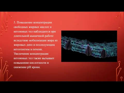 5. Повышение концентрации свободных жирных кислот и кетоновых тел наблюдается при