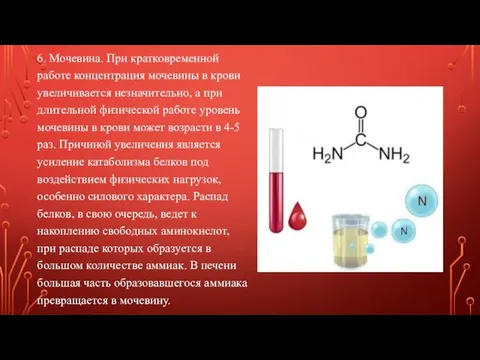 6. Мочевина. При кратковременной работе концентрация мочевины в крови увеличивается незначительно,