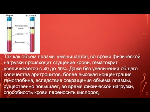 Так как объем плазмы уменьшается, во время физической нагрузки происходит сгущение