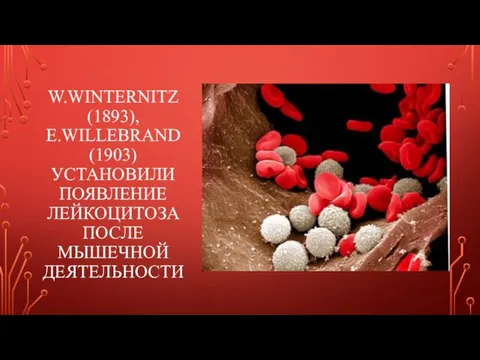 W.WINTERNITZ (1893), E.WILLEBRAND (1903) УСТАНОВИЛИ ПОЯВЛЕНИЕ ЛЕЙКОЦИТОЗА ПОСЛЕ МЫШЕЧНОЙ ДЕЯТЕЛЬНОСТИ