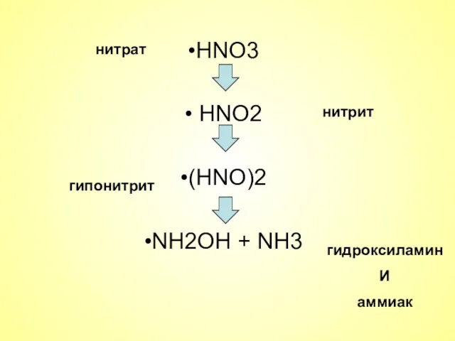 HNO3 HNO2 (HNO)2 NH2OH + NH3 нитрат нитрит гипонитрит гидроксиламин И аммиак