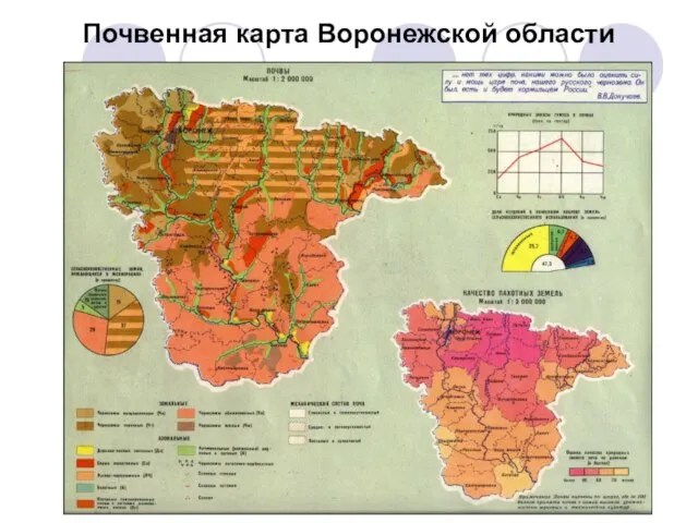 Почвенная карта Воронежской области