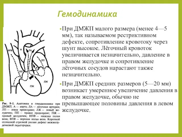 Гемодинамика При ДМЖП малого размера (менее 4—5 мм), так называемом рестриктивном