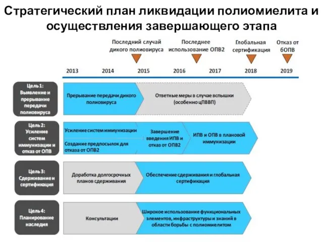 Стратегический план ликвидации полиомиелита и осуществления завершающего этапа