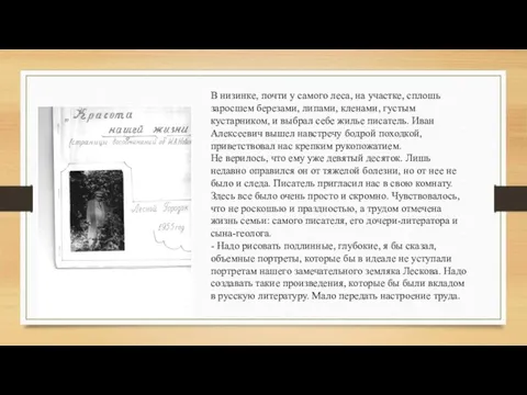 В низинке, почти у самого леса, на участке, сплошь заросшем березами,