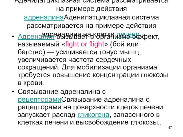 Аденилатциклазная система рассматривается на примере действия адреналинаАденилатциклазная система рассматривается на примере