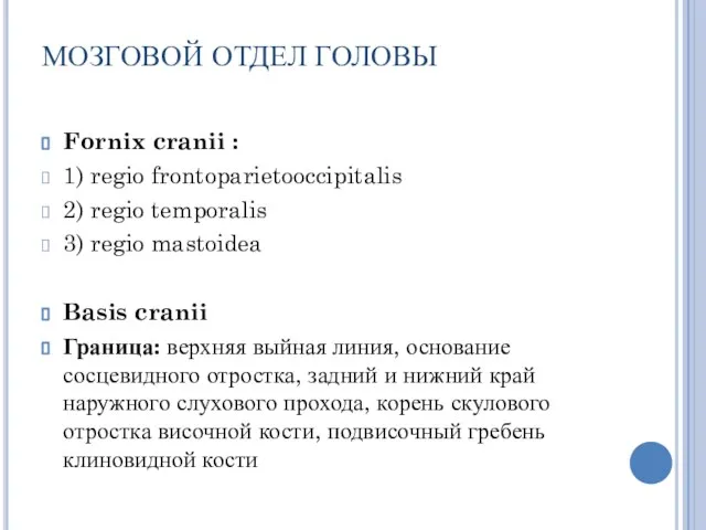 МОЗГОВОЙ ОТДЕЛ ГОЛОВЫ Fornix cranii : 1) regio frontoparietooccipitalis 2) regio