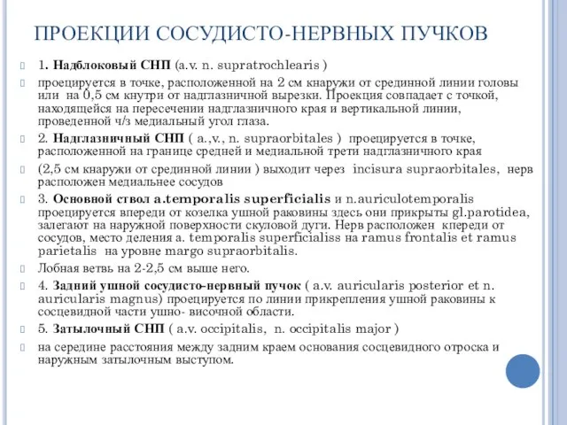 ПРОЕКЦИИ СОСУДИСТО-НЕРВНЫХ ПУЧКОВ 1. Надблоковый СНП (а.v. n. supratrochlearis ) проецируется