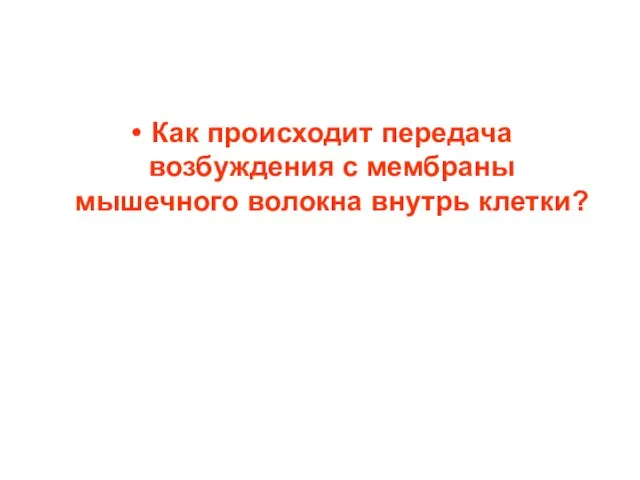 Как происходит передача возбуждения с мембраны мышечного волокна внутрь клетки?