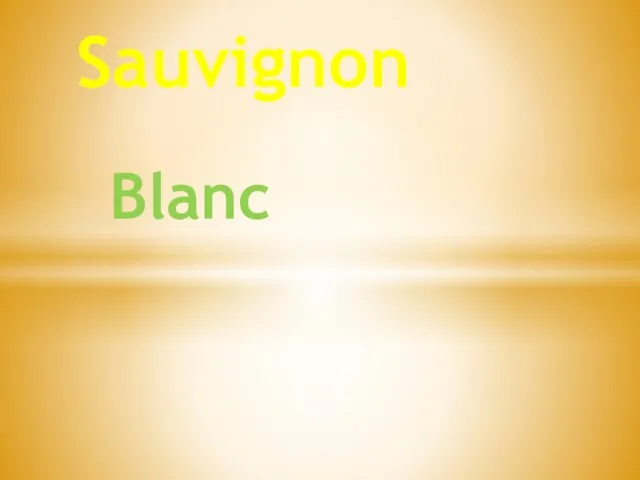 Blanc Sauvignon