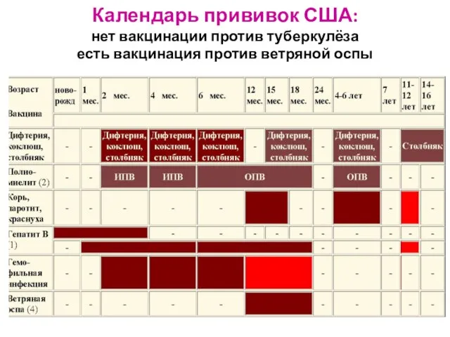 Календарь прививок США: нет вакцинации против туберкулёза есть вакцинация против ветряной оспы