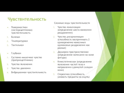 Чувствительность Поверхностная (экстероцептивная) чувствительность Болевая Температурная Тактильная Глубокая Суставно-мышечное чувство (проприоцептивная)