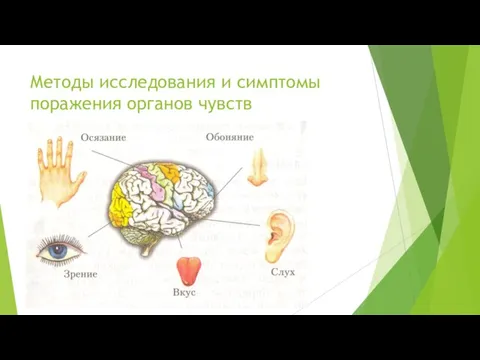 Методы исследования и симптомы поражения органов чувств