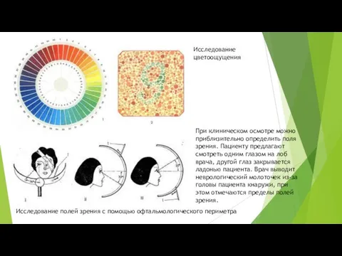 Исследование цветоощущения Исследование полей зрения с помощью офтальмологического периметра При клиническом