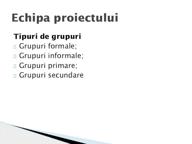 Tipuri de grupuri Grupuri formale; Grupuri informale; Grupuri primare; Grupuri secundare Echipa proiectului