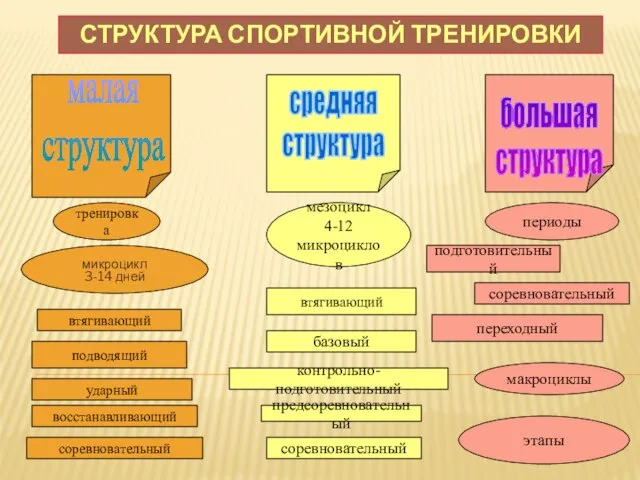 СТРУКТУРА СПОРТИВНОЙ ТРЕНИРОВКИ микроцикл 3-14 дней малая структура средняя структура большая