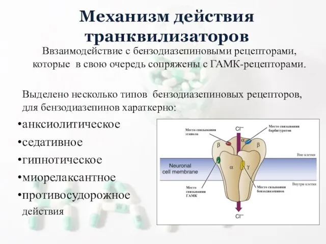 Механизм действия транквилизаторов Ввзаимодействие с бензодиазепиновыми рецепторами, которые в свою очередь