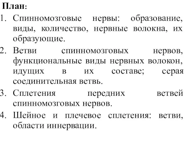 План: Спинномозговые нервы: образование, виды, количество, нервные волокна, их образующие. Ветви