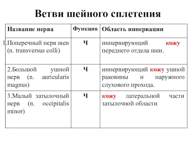 Ветви шейного сплетения