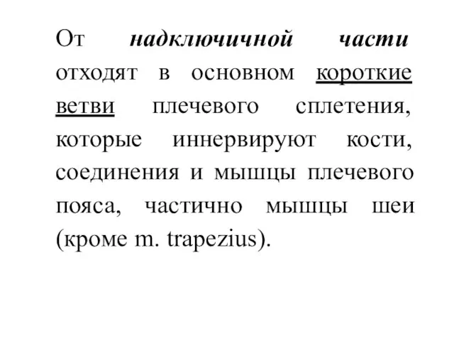 От надключичной части отходят в основном короткие ветви плечевого сплетения, которые