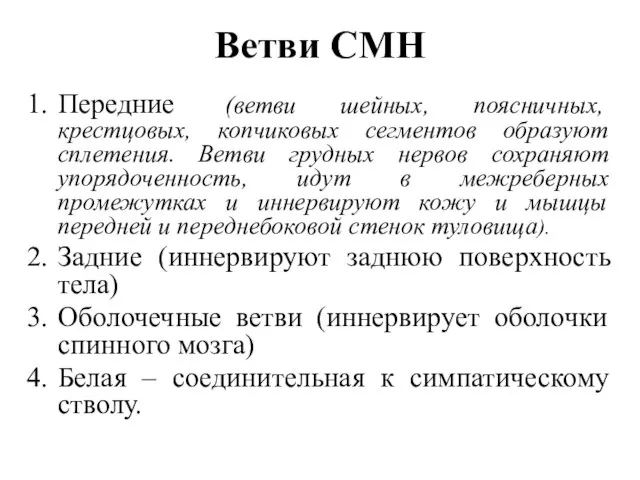 Ветви СМН Передние (ветви шейных, поясничных, крестцовых, копчиковых сегментов образуют сплетения.