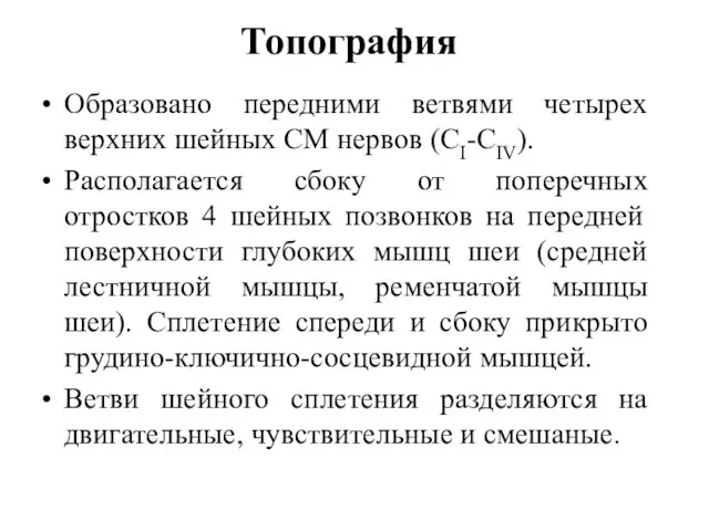 Топография Образовано передними ветвями четырех верхних шейных СМ нервов (CI-CIV). Располагается